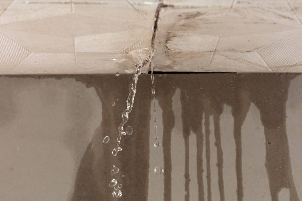 Professional Sewage Cleanup technician working in Glen Ellyn, IL